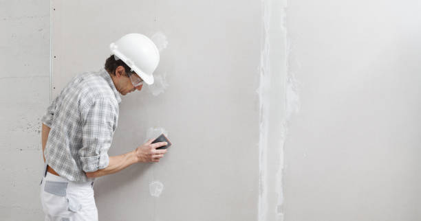 Best Residential Painting  in Menifee, CA